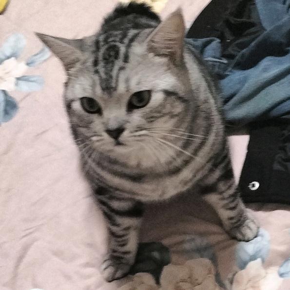 喜良缘喜糖铺子