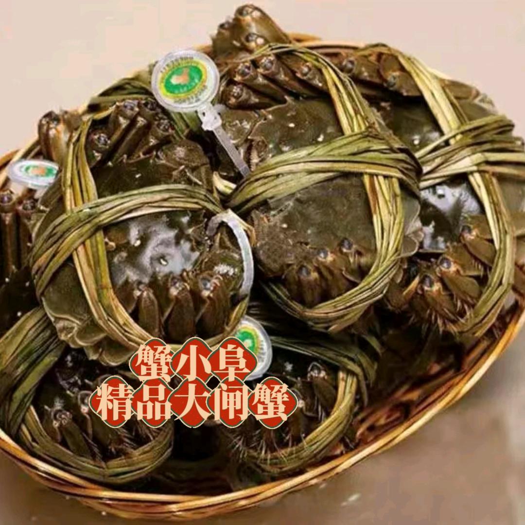 蟹小阜大闸蟹直播号-标