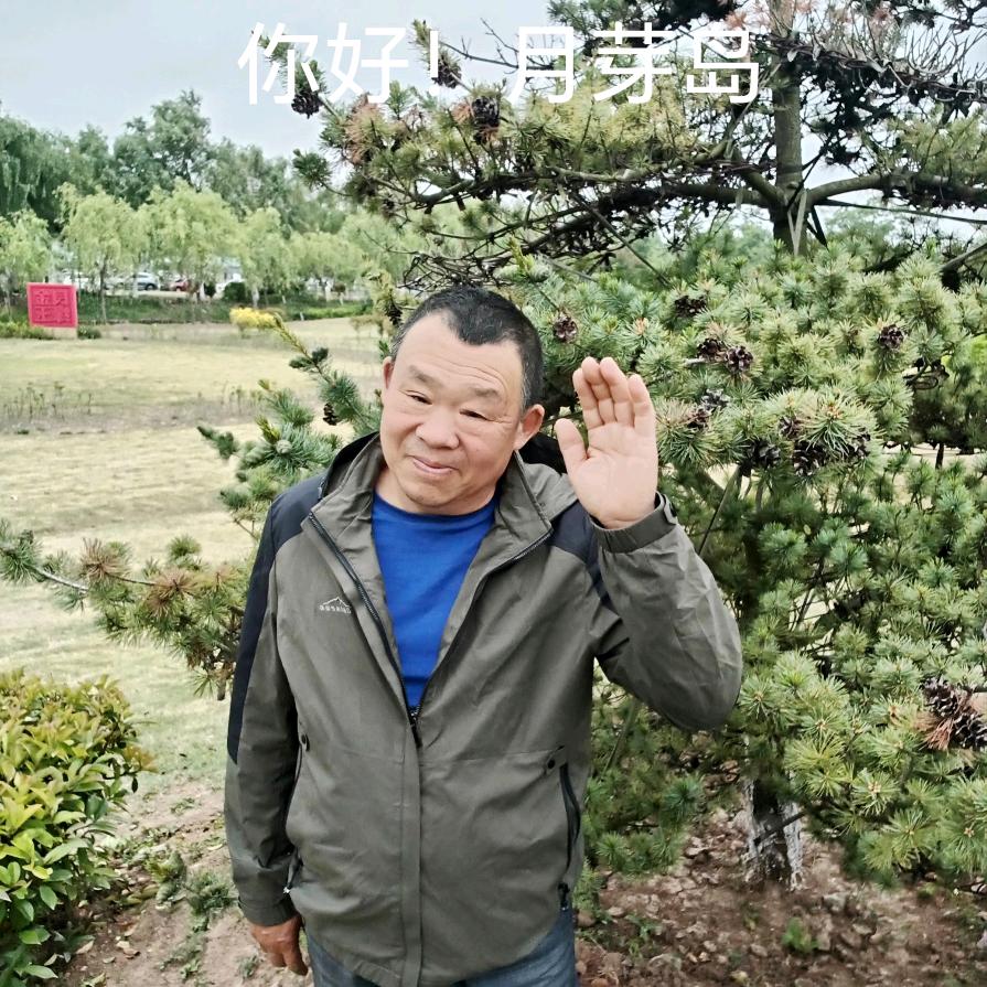 许二乔再生能源分享