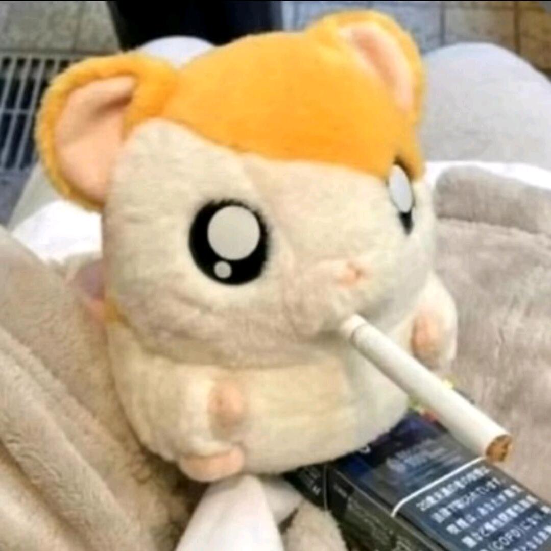 止语