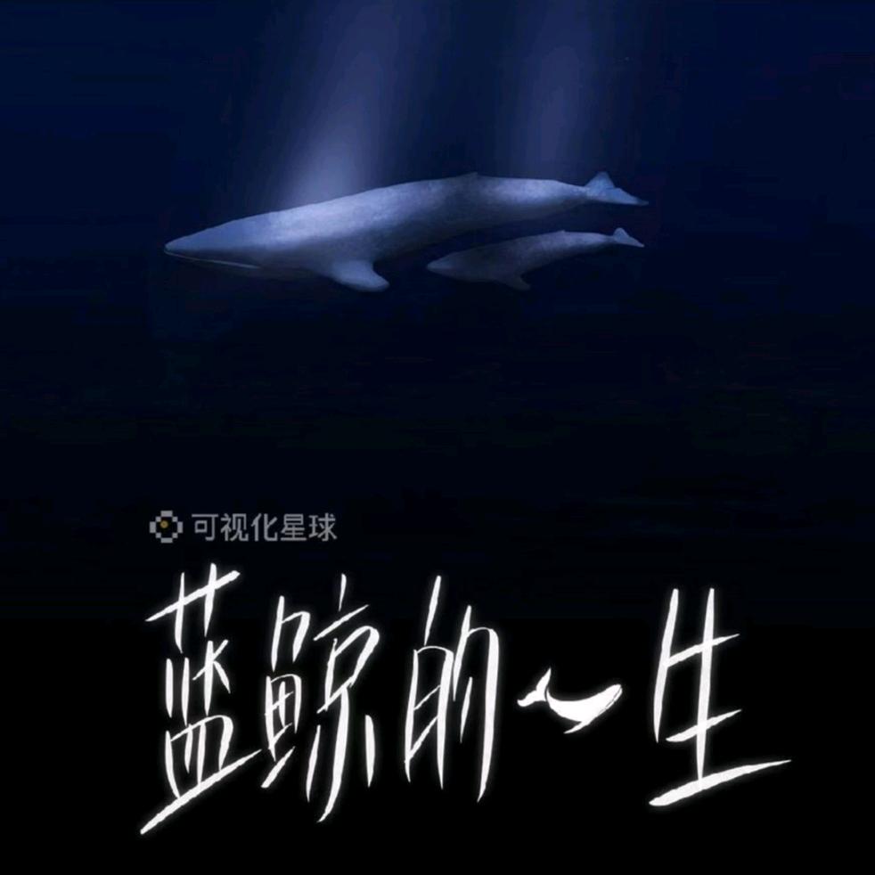 蓝鲸3280