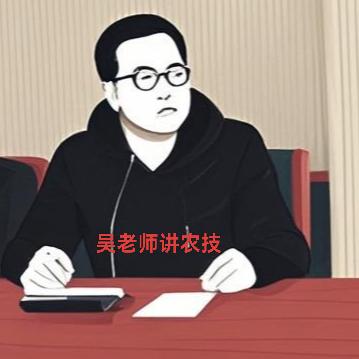 全丰大伟&Davy