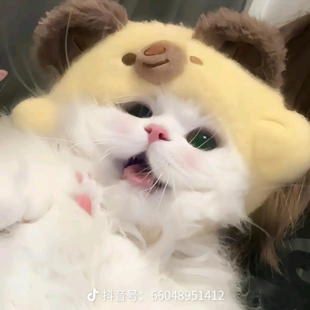 元气麦麦（摸鱼ing）