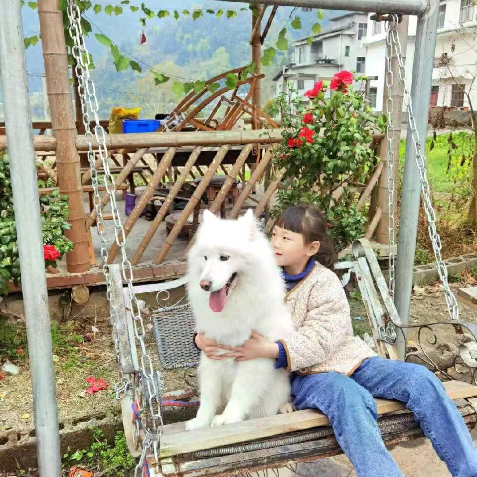 向全浩头像