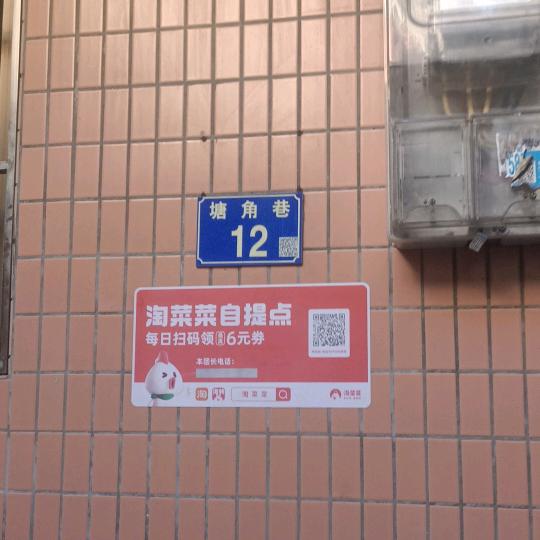 飞龙