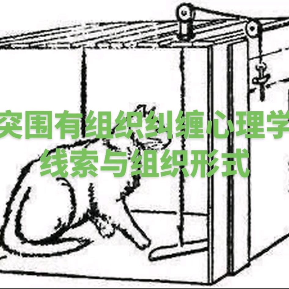 心理咨询师考试（文化与心理学研究）