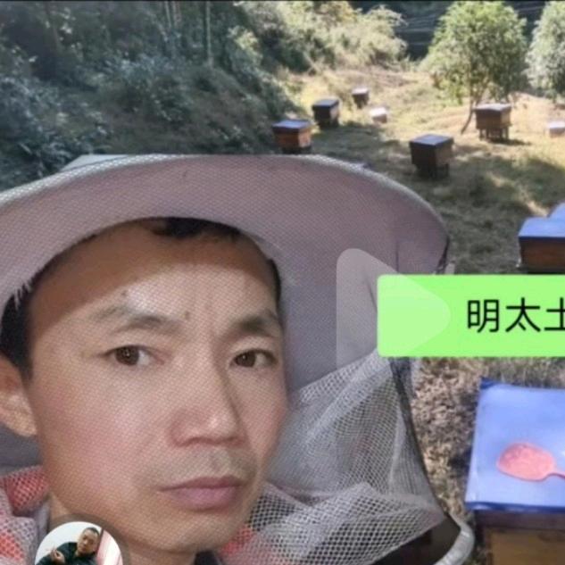 明哥养蜂萍乡老表