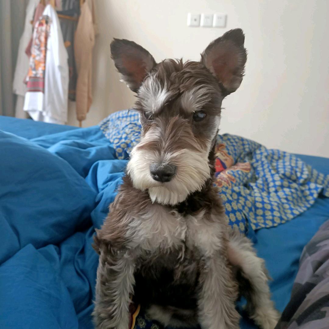 🇨🇳☞龍少爺☜