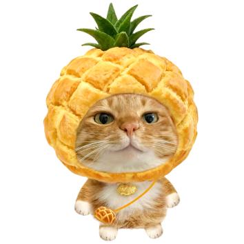🍍