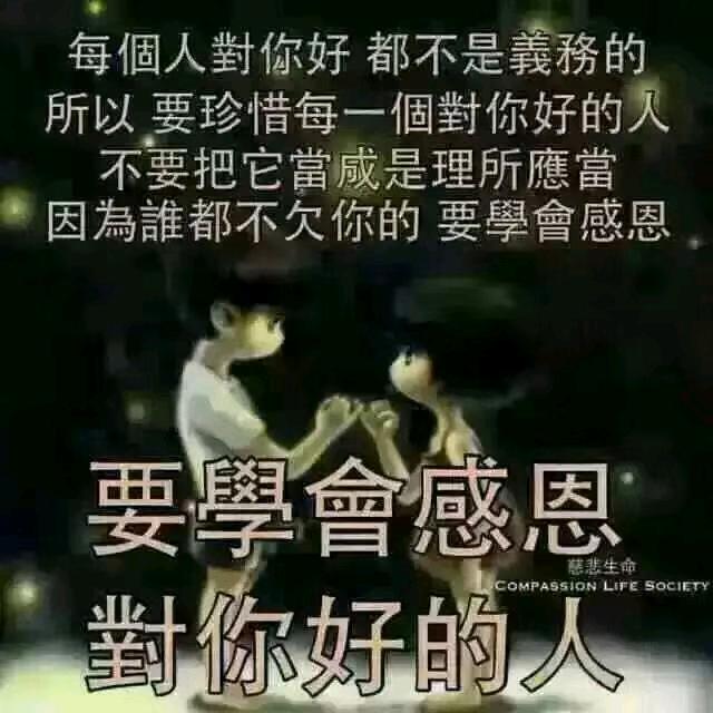 军哥的新农生活