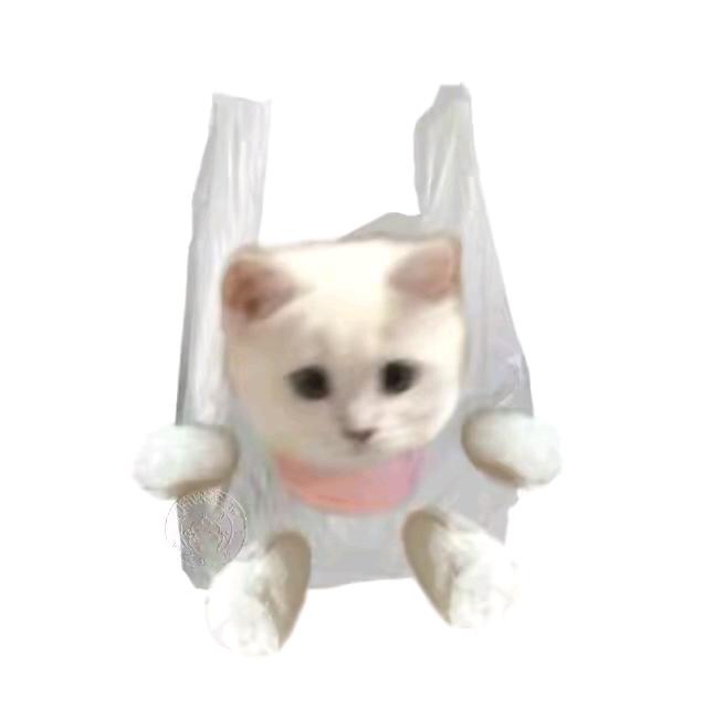 7包不困^