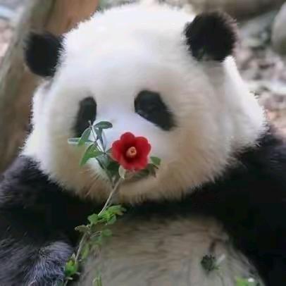 晚春里