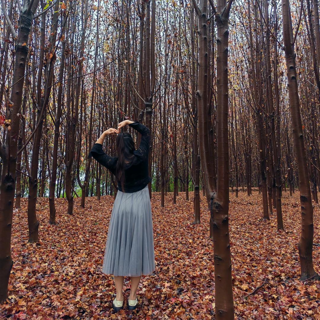 财神眷顾的🌷 黃小姐໌້ᮨ.