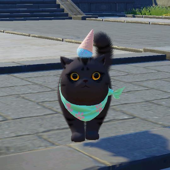 孤独的黑猫