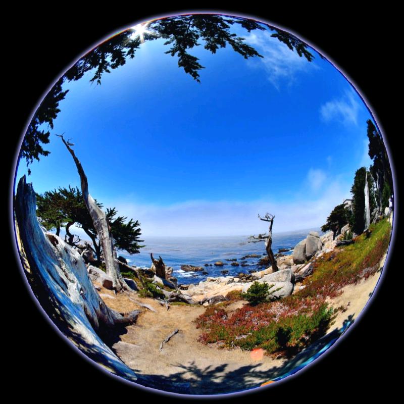 犇牛健身-游泳王教练