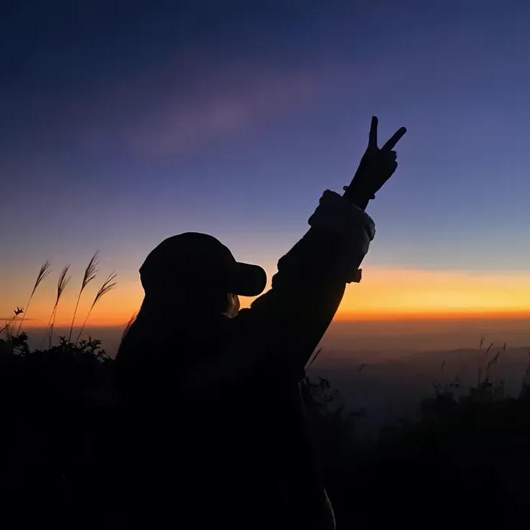 半夏微凉