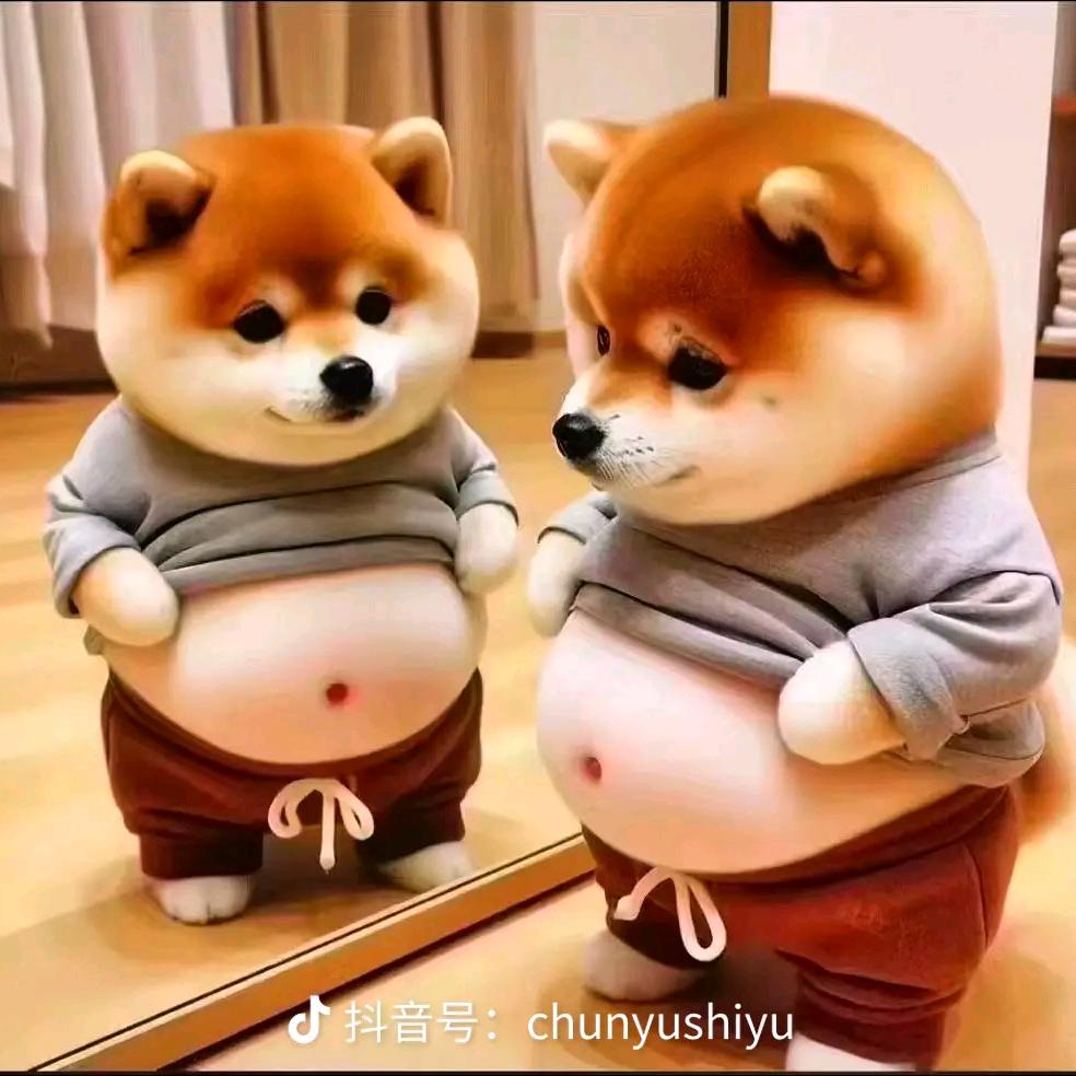 🐰🐰兔先生🐇🐇