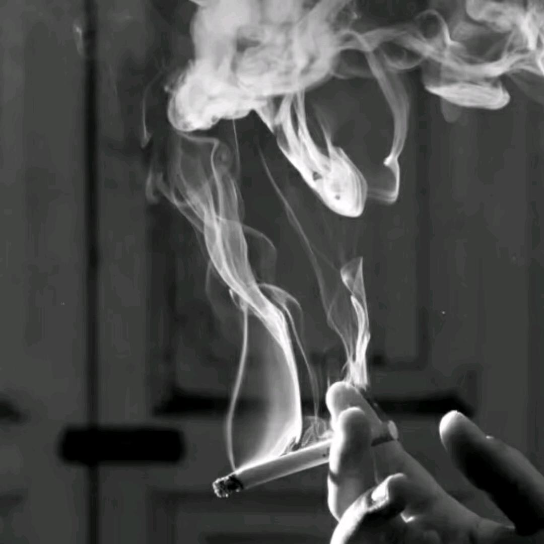 一路向北