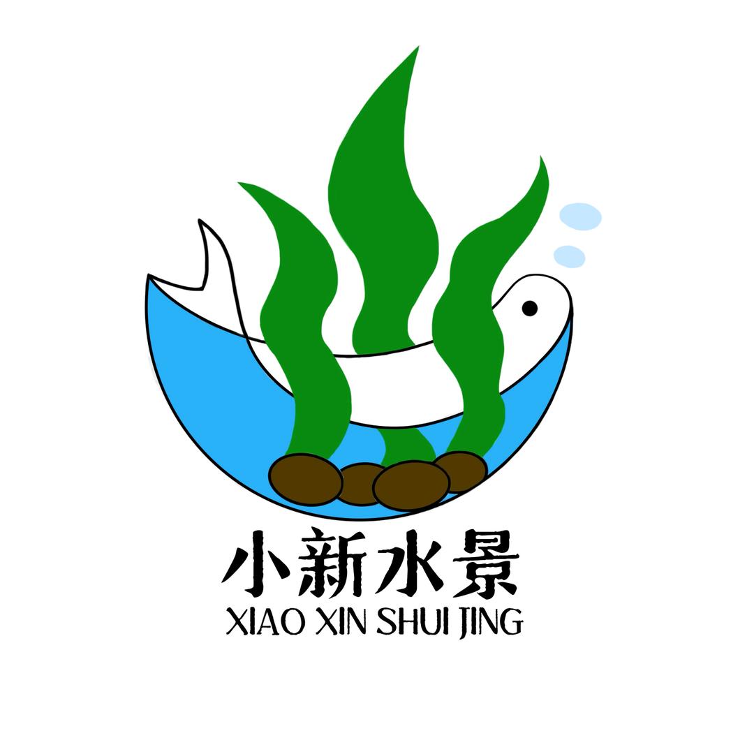 小新水景