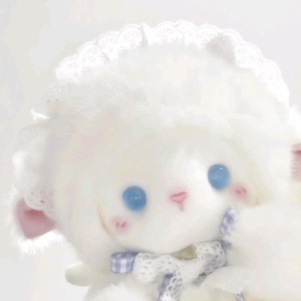 JC-T羊咩咩💤⁰²⁶