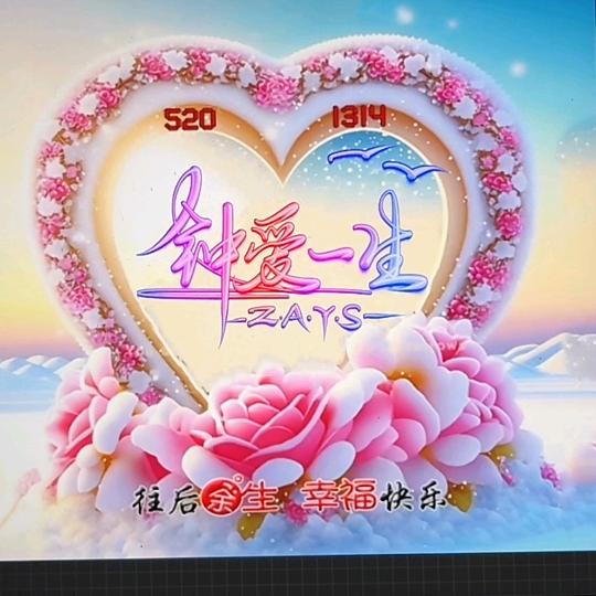 带刺玫瑰LL