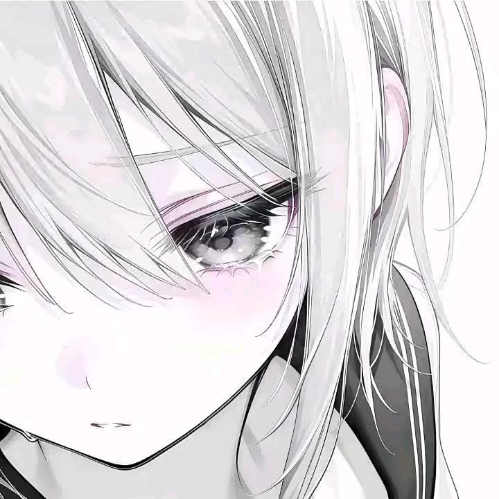 饱贝