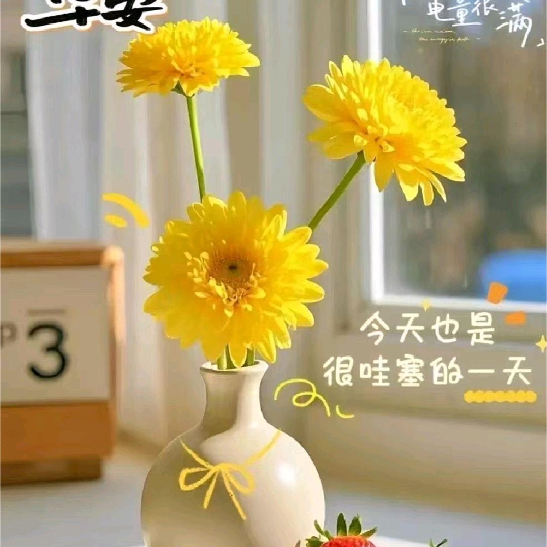 雪最怕什么？怕我们的小太阳。