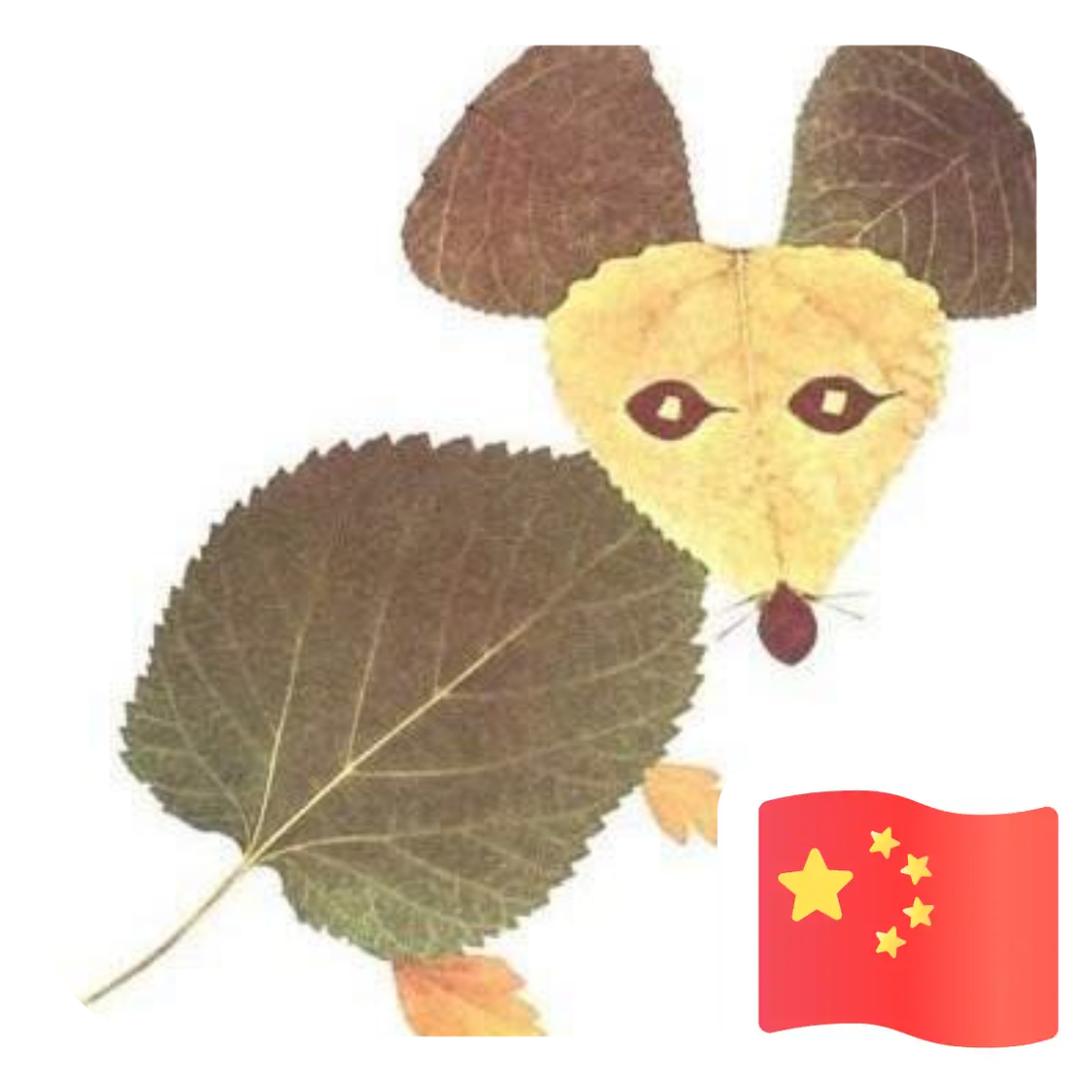无名小鼠🐭