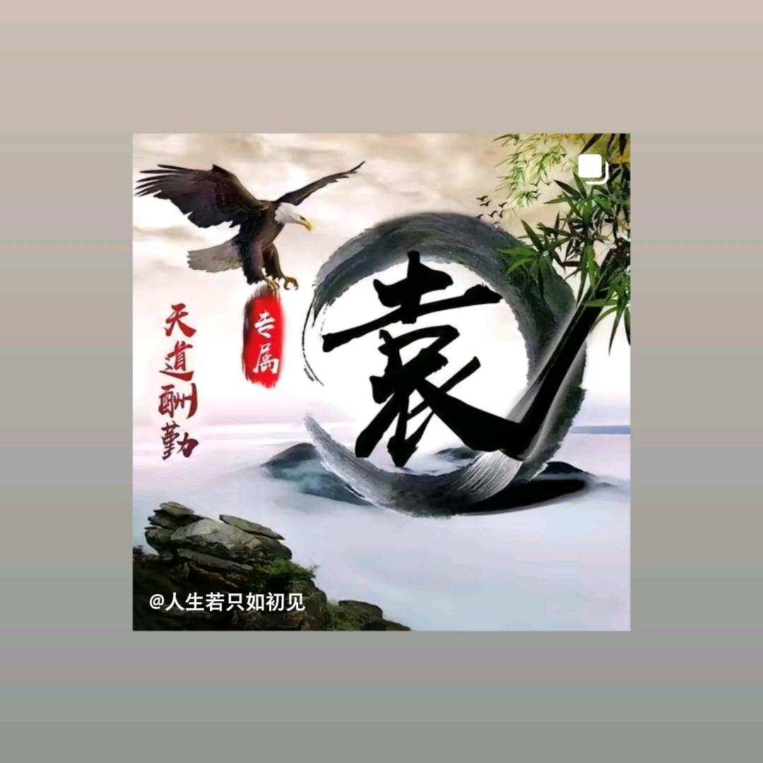 倾城之恋