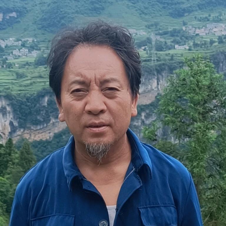 付三叶