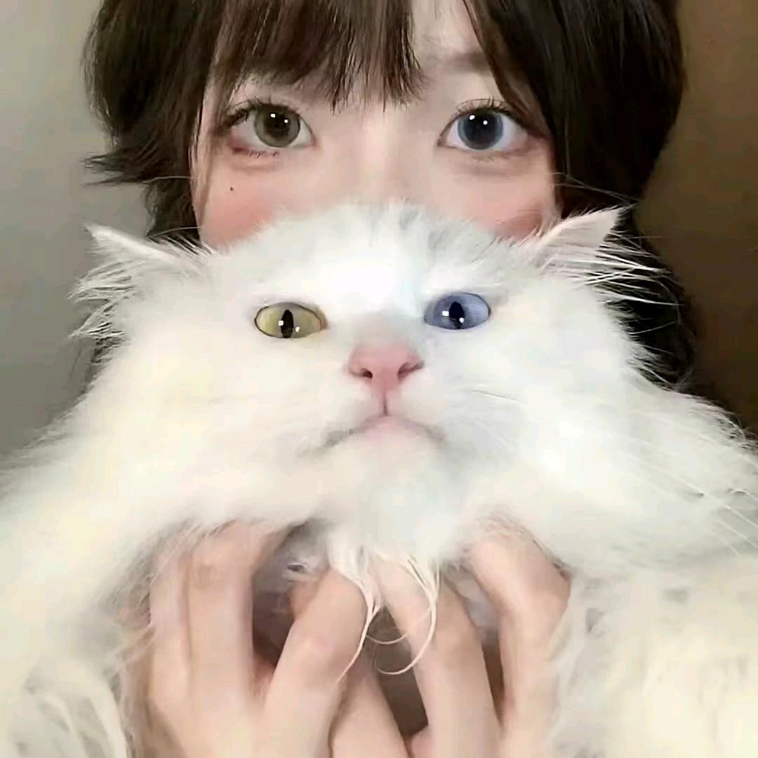 尐呆呆