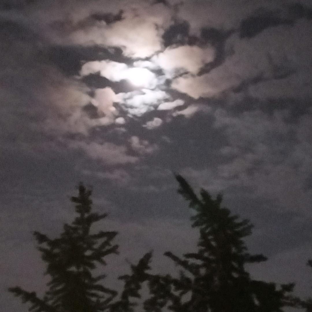 清秋一页