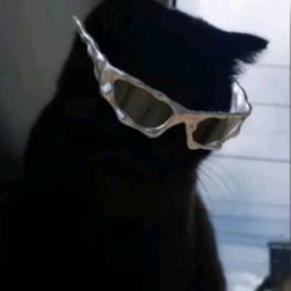 黑猫警长