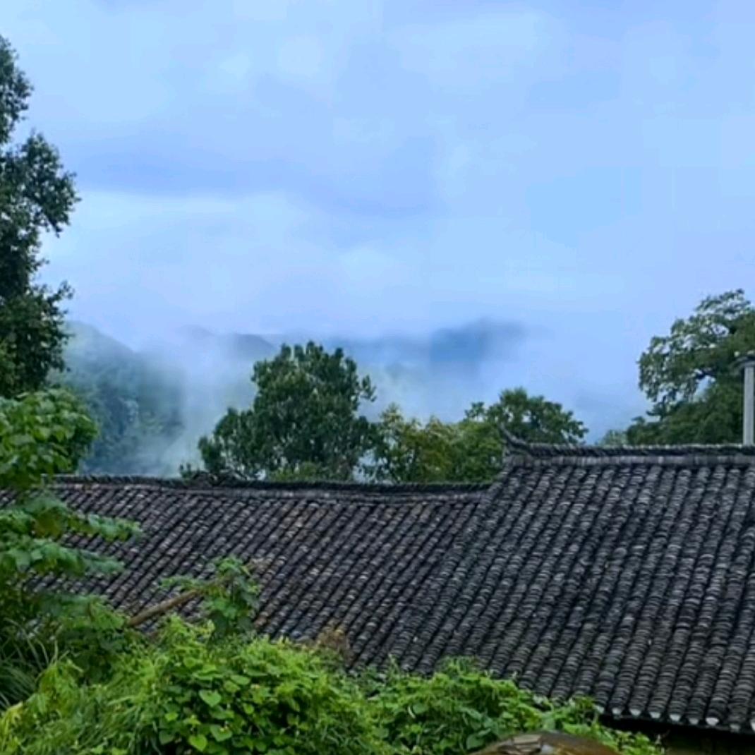 岭南(奇迹)