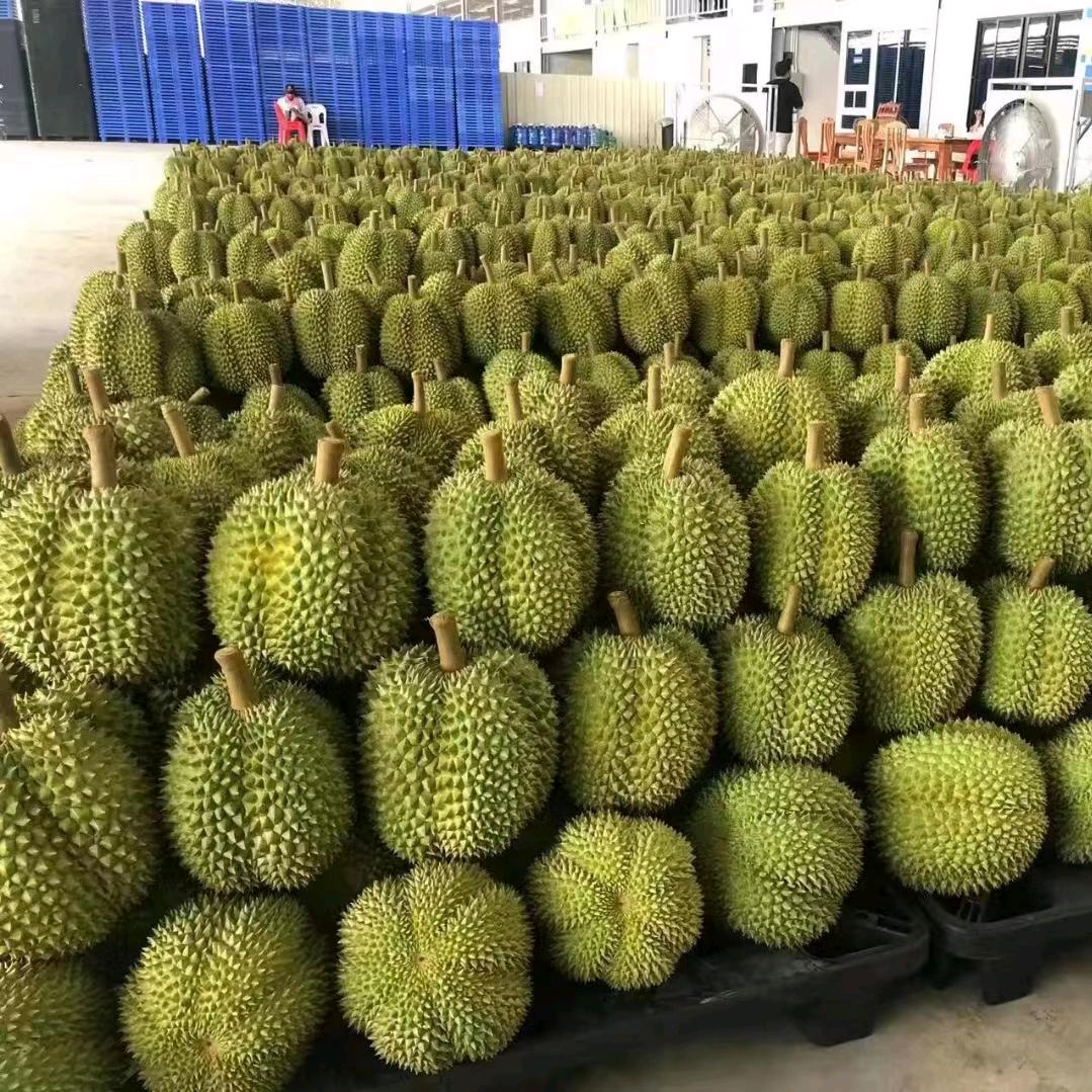 鲜果鲜花直供