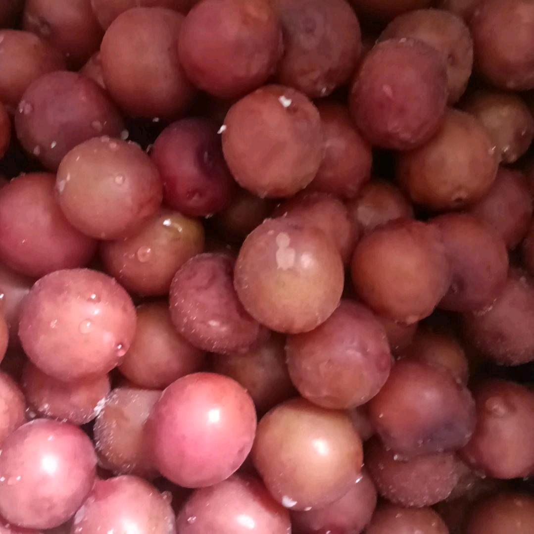 酒醉的蝴蝶。
