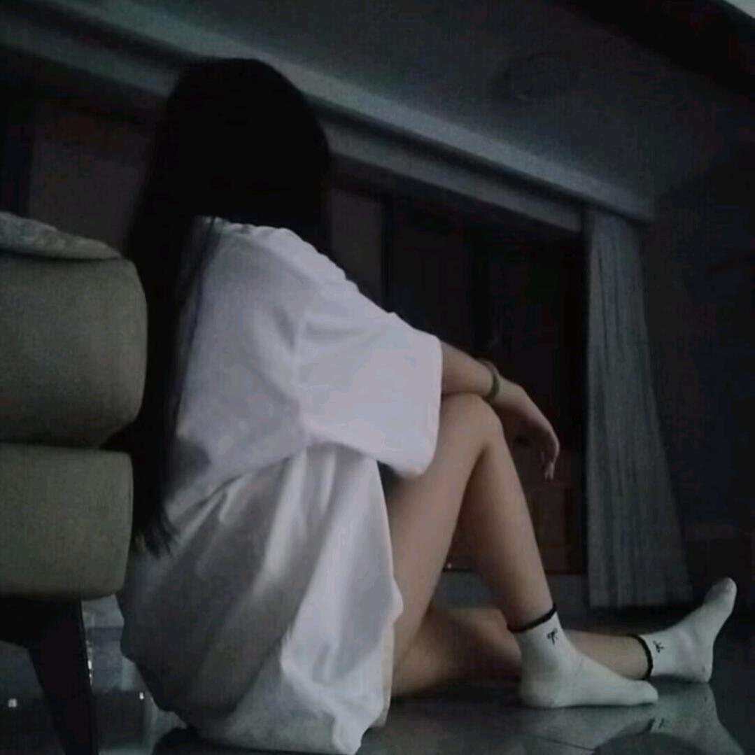 柴犬小八的妈妈