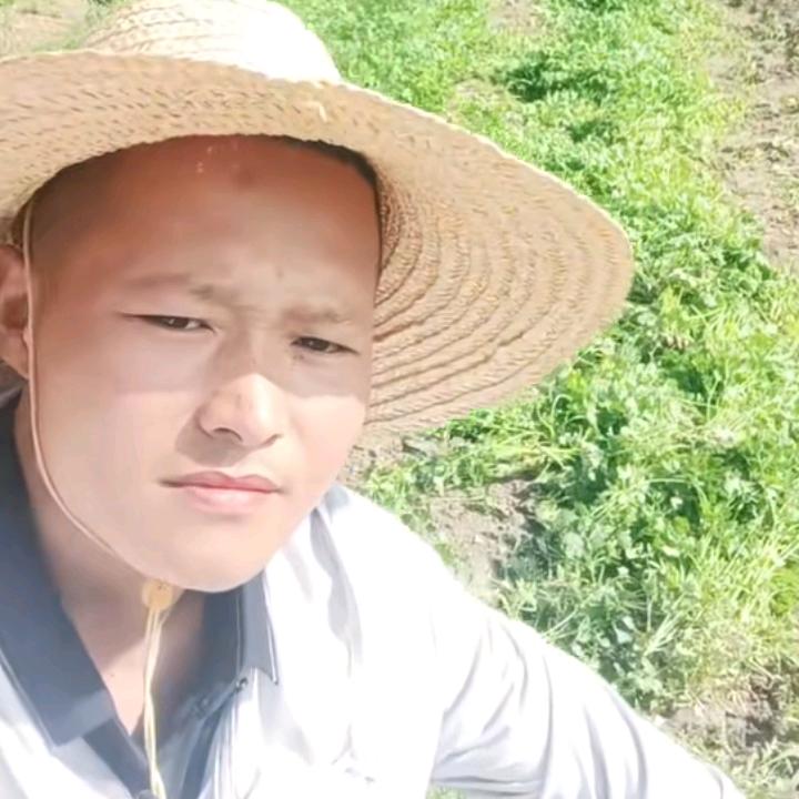 香菜小王子