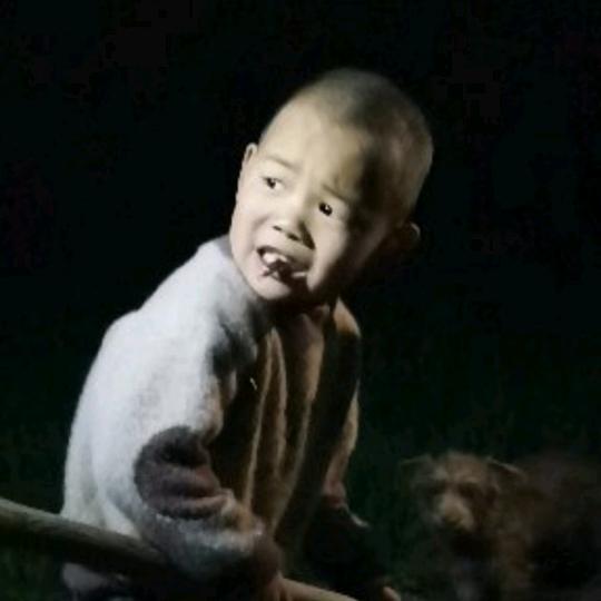 雄鹰