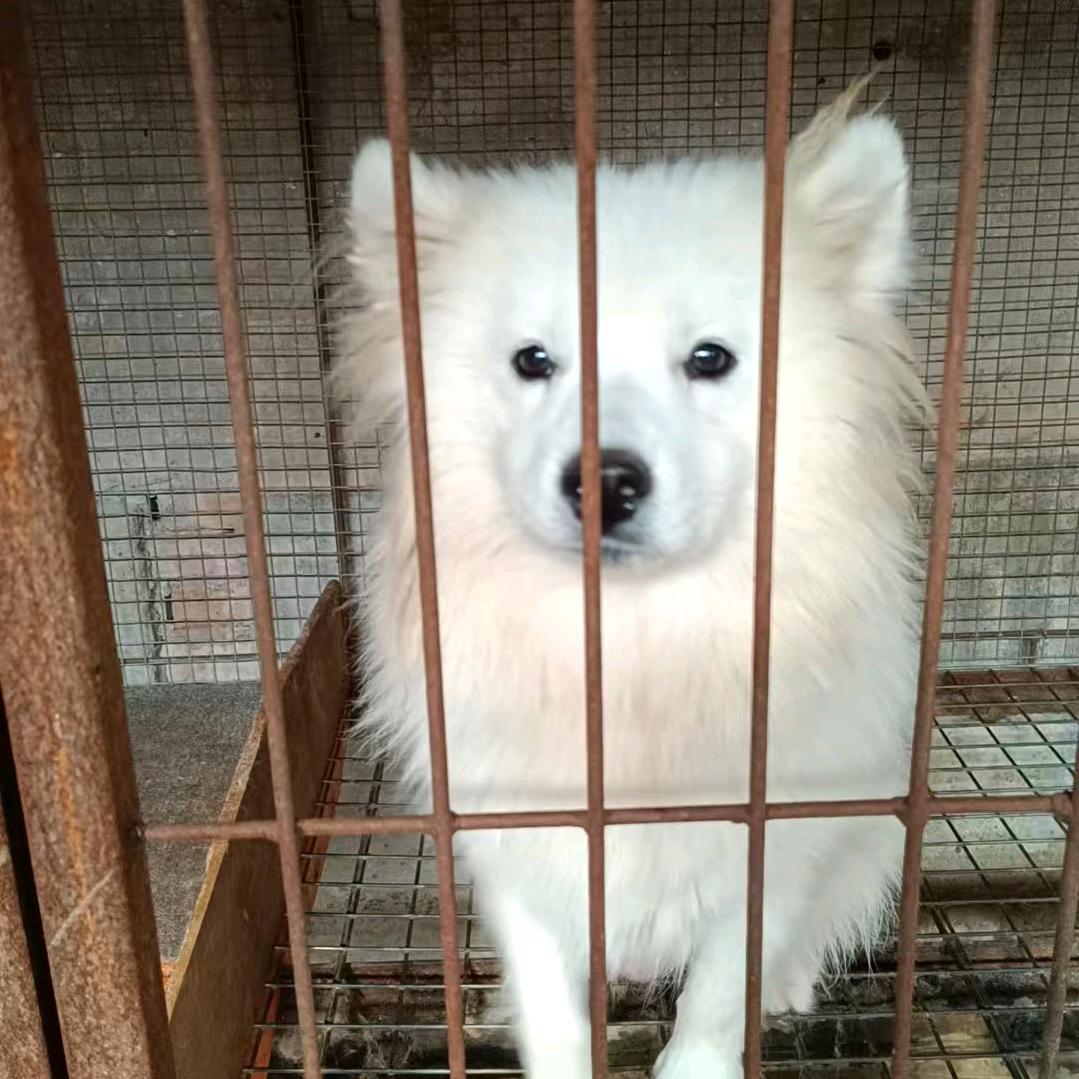 独来独往
