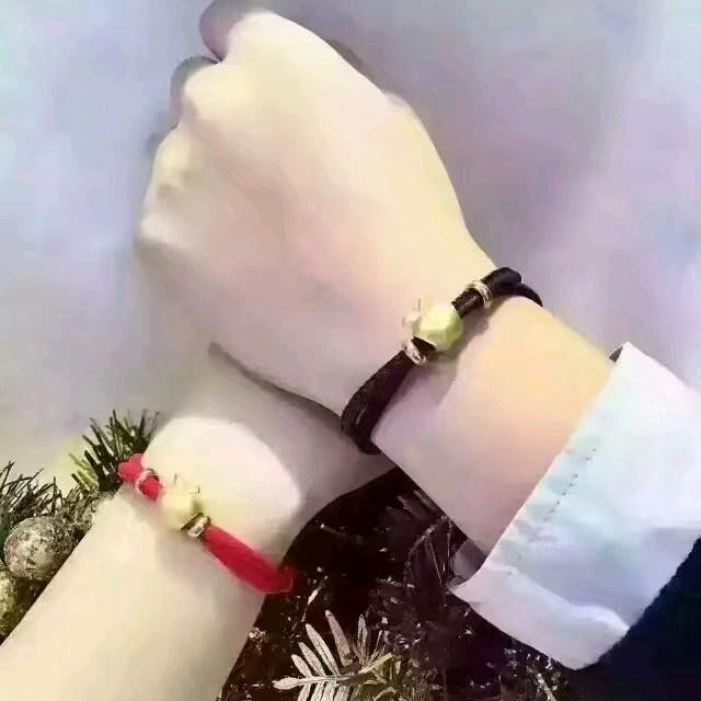 会飞的鱼