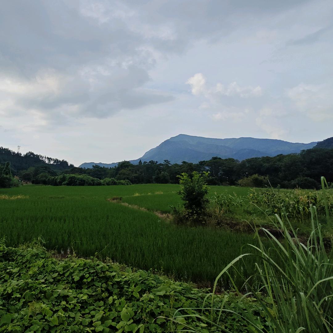 晟峰百货