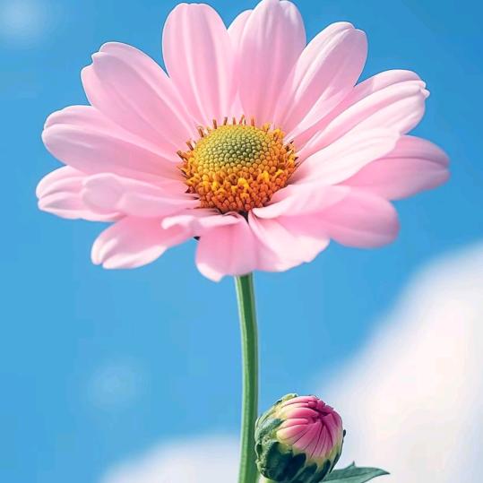 西北牛牛🌾🌾