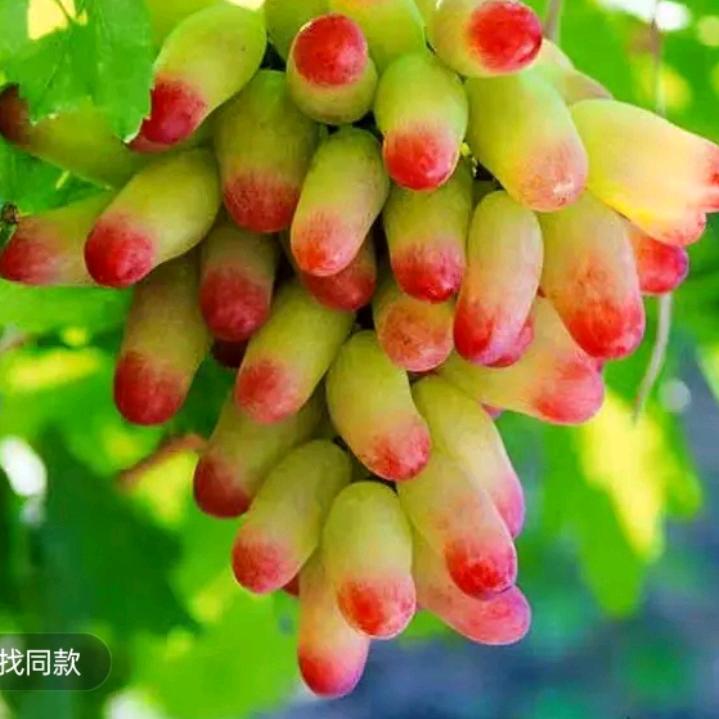 前进
