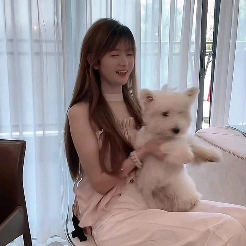 熊猫🐼🐼🐼🐼🐼🐼