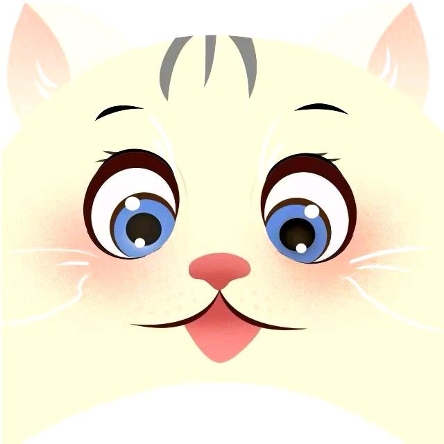 九妃班尼宠物用品专卖店妃妃