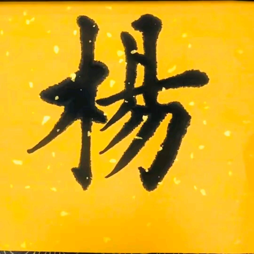 杨 波