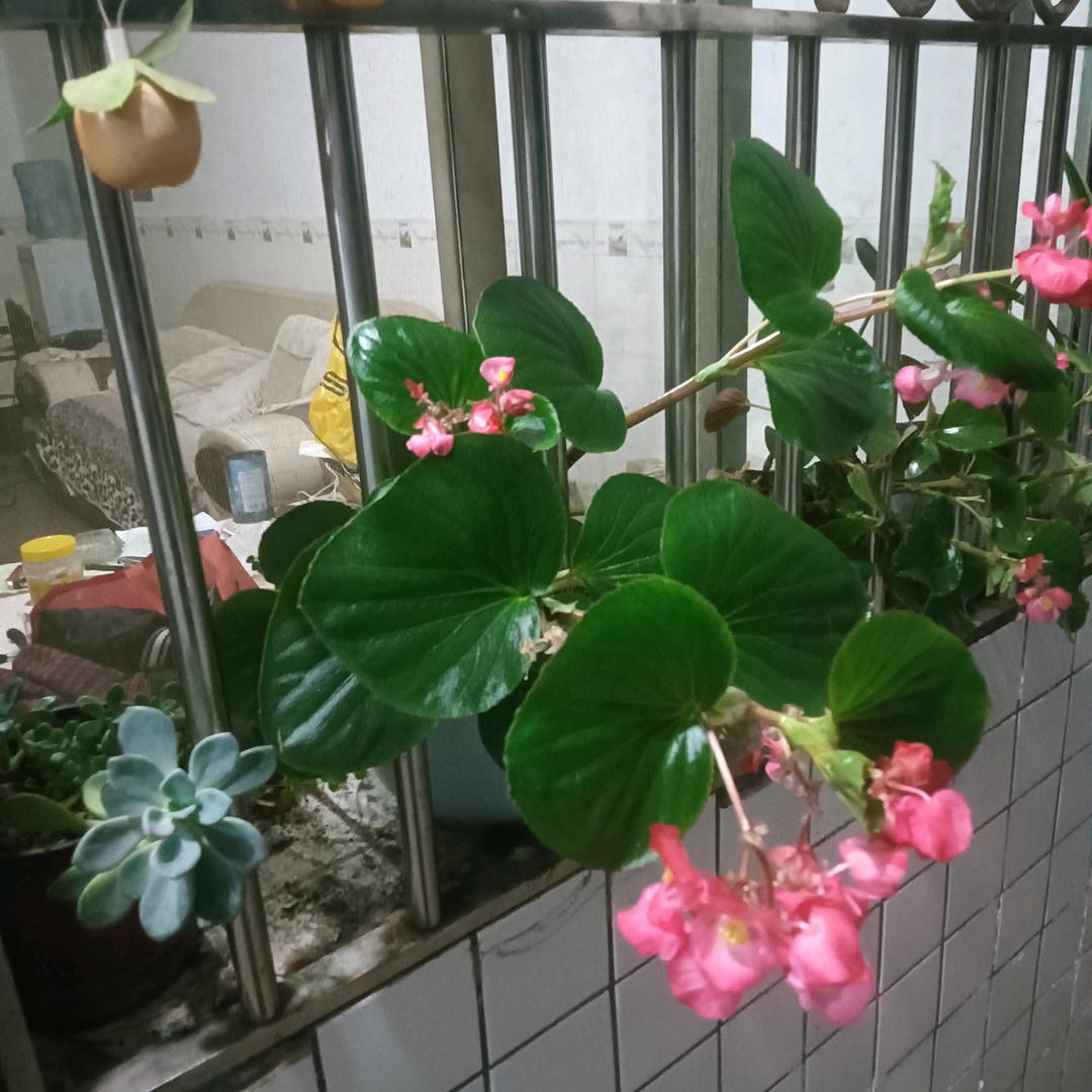 用户3720000441782开心一笑