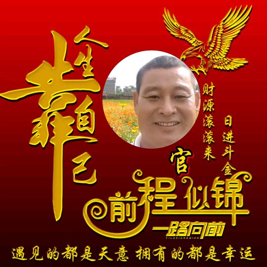 用户8284179321179
