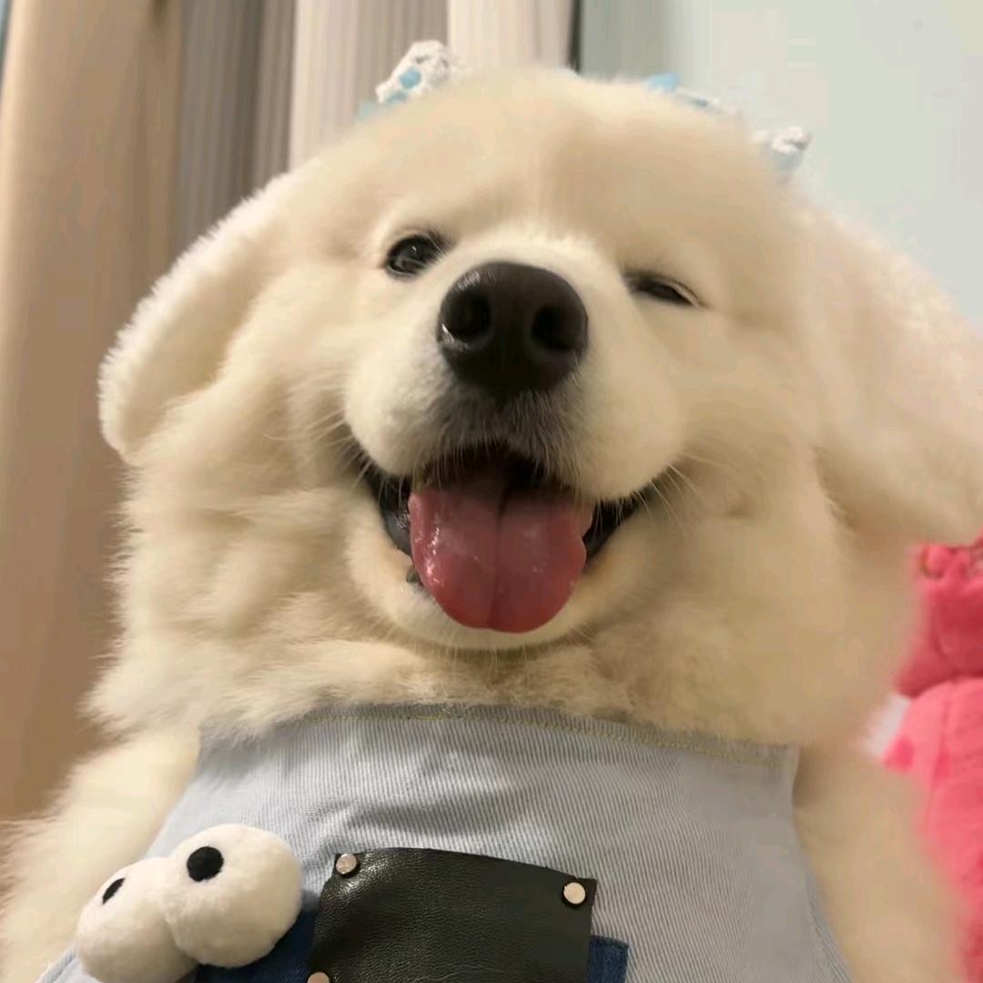 吃不饱睡不饱